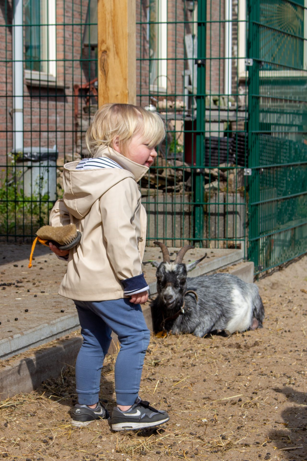 Kind met geit op kinderboerderij