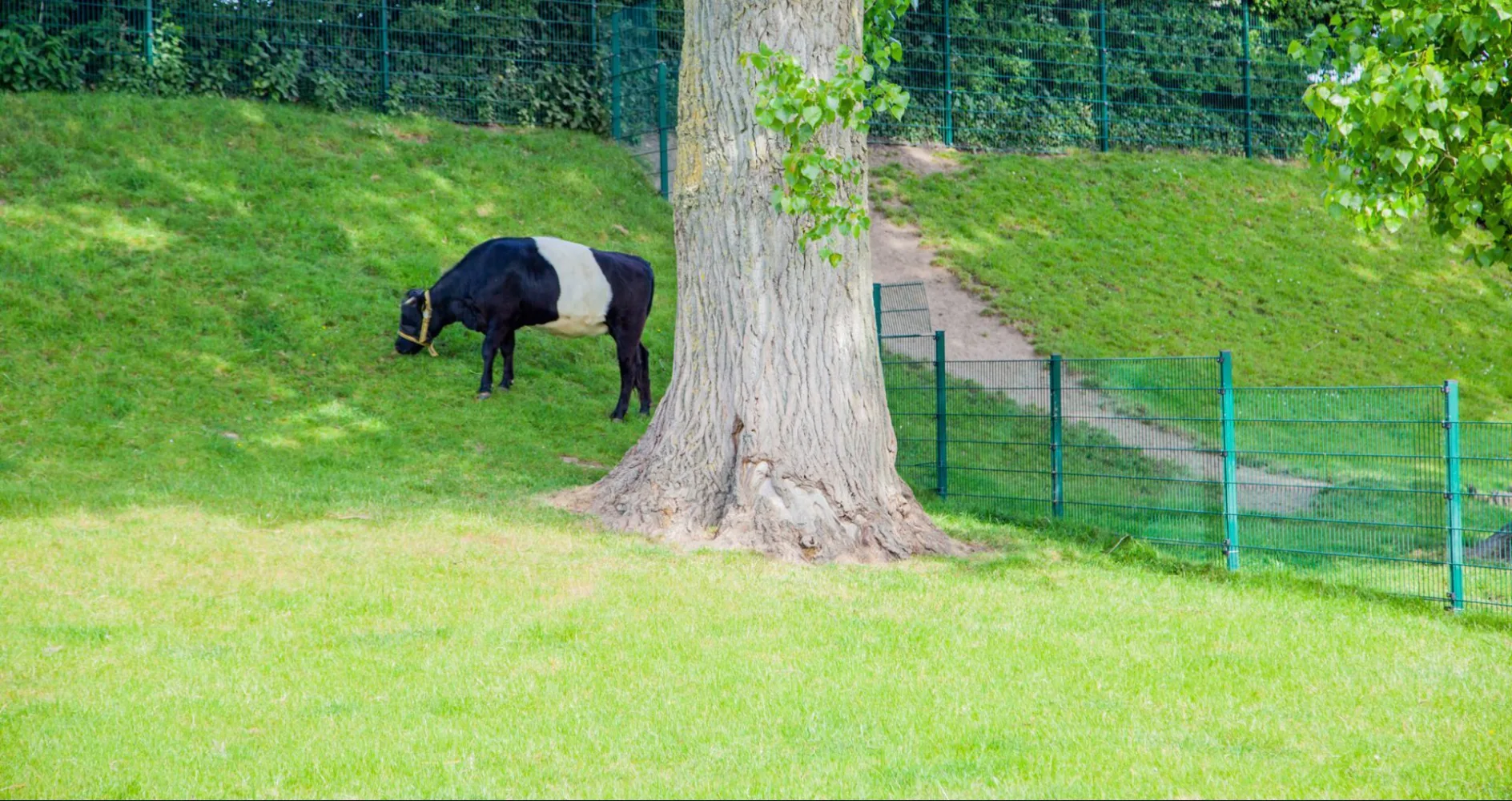 KIBO 55 e1652793588105